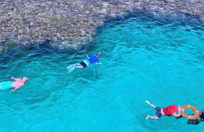 Snorkeling nel Mar Rosso - Crociera - Foto 7